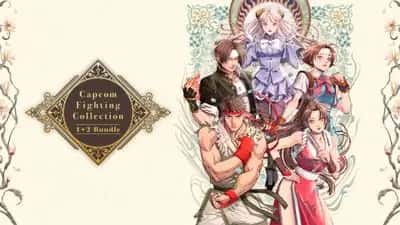 Capcom Fighting Collection 1 & 2 Bundle