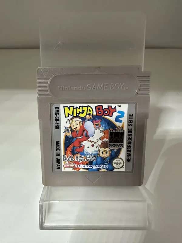 Ninja Boy 2