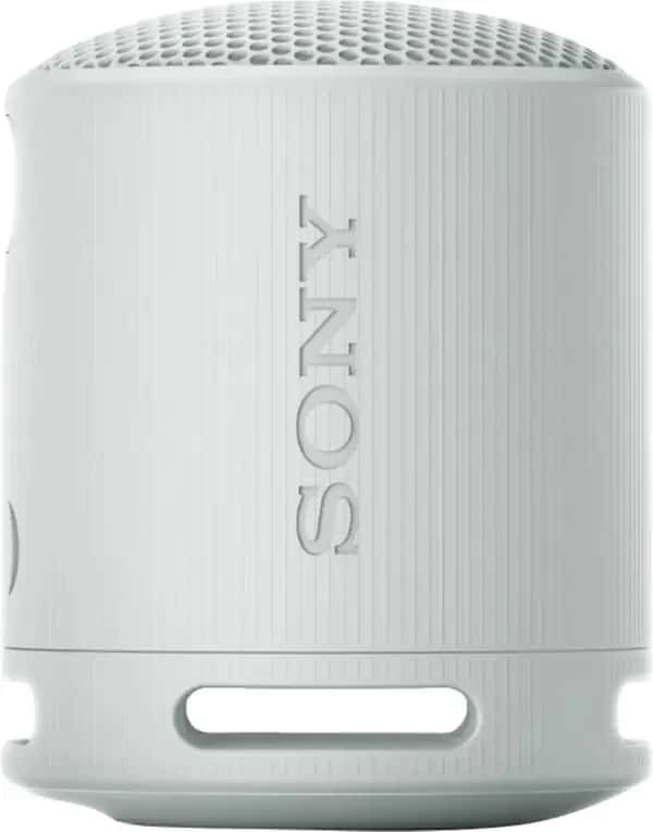 Sony SRS-XB100 Grijs