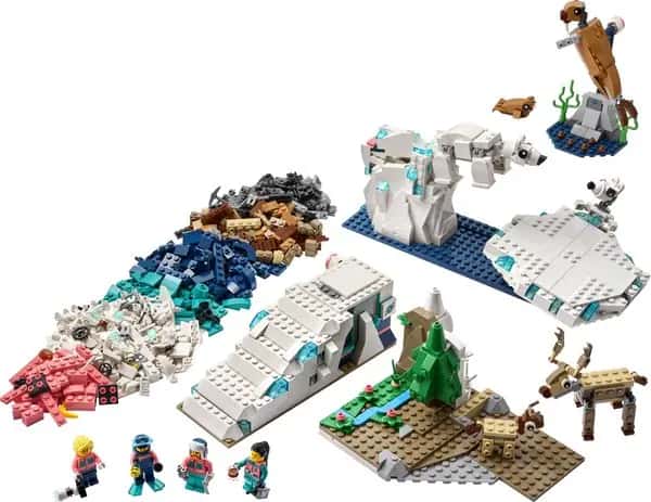 Natuurwetenschap en Techniek Dieren op de Noordpool