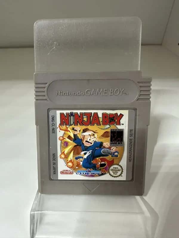 Ninja Boy